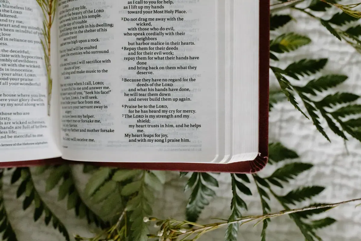 Open Bible surrounded by green leaves, symbolizing peaceful Scripture reading and comfort.