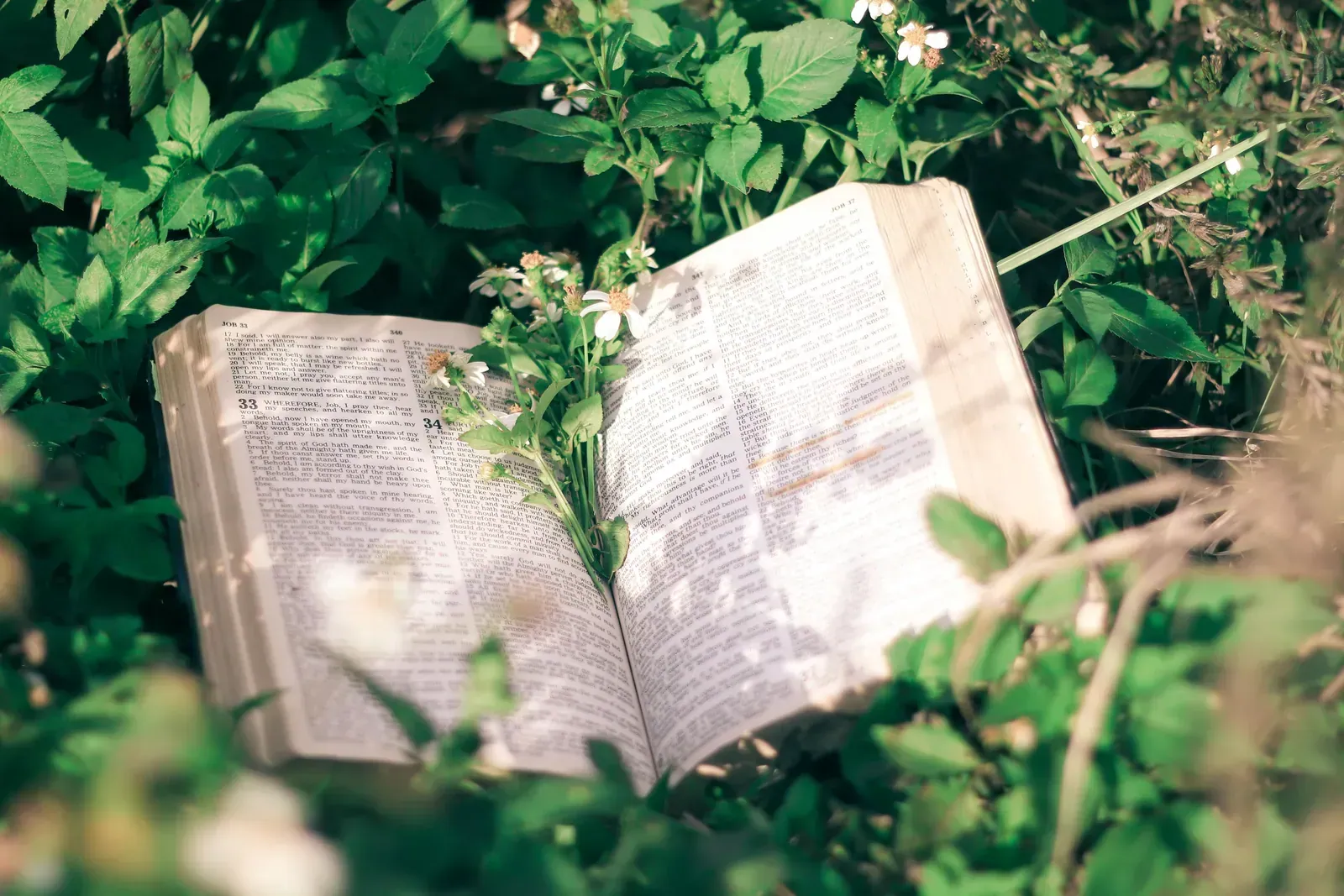 Healing Promises of God