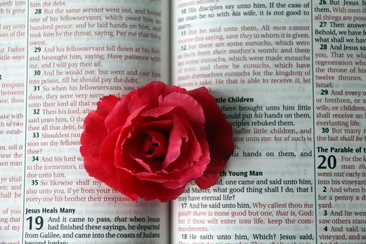 Hands open in prayer while reading miracle healing scriptures