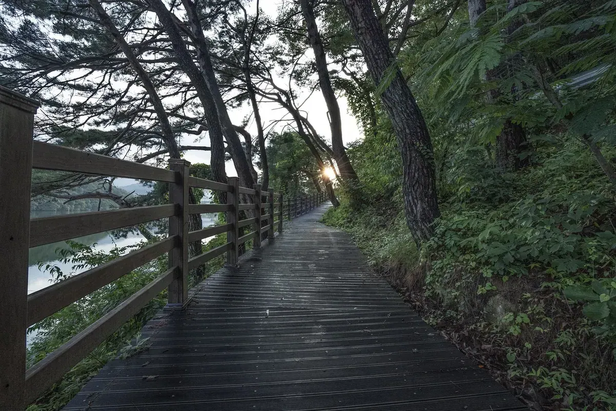 Person walking toward light as a picture of restoration and hope
