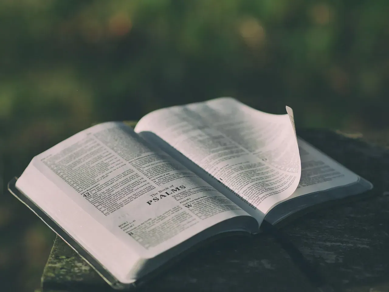 Prayer Scriptures