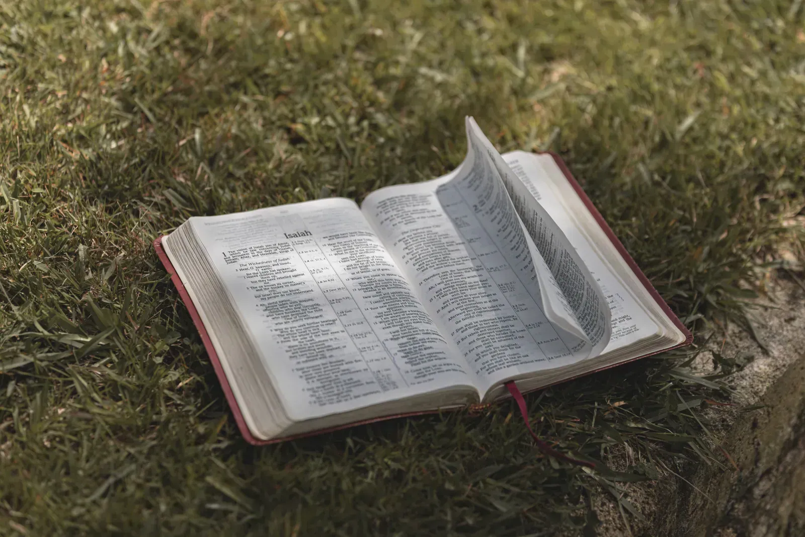 Scriptures for Surgery and Healing